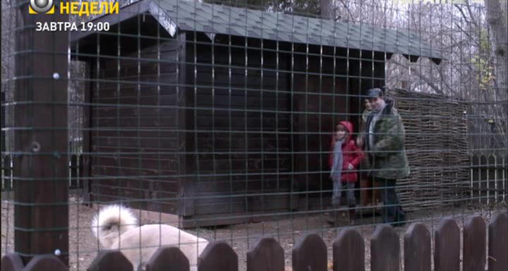 Нажмите для просмотра в оригинальном размере