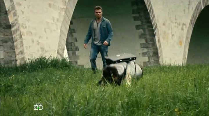 Нажмите для просмотра в оригинальном размере