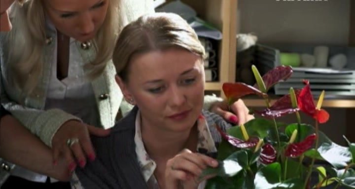 Нажмите для просмотра в оригинальном размере