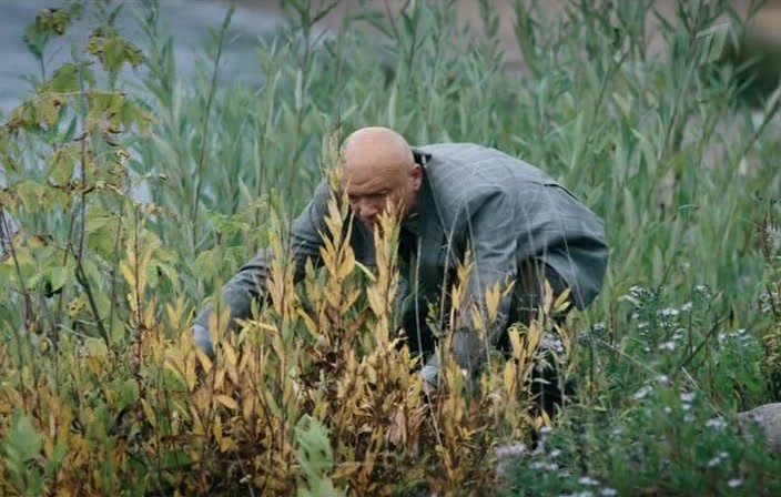 Нажмите для просмотра в оригинальном размере