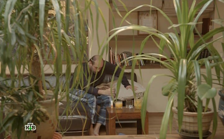 Нажмите для просмотра в оригинальном размере