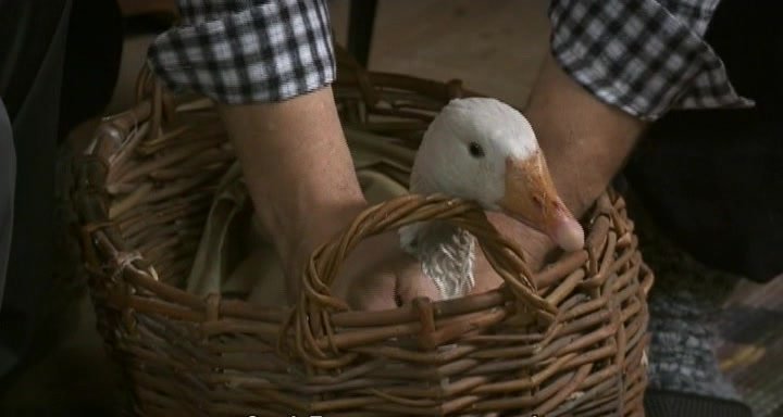 Нажмите для просмотра в оригинальном размере