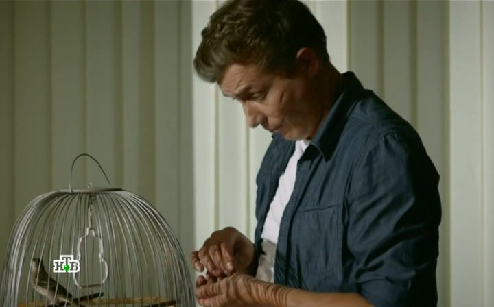 Нажмите для просмотра в оригинальном размере