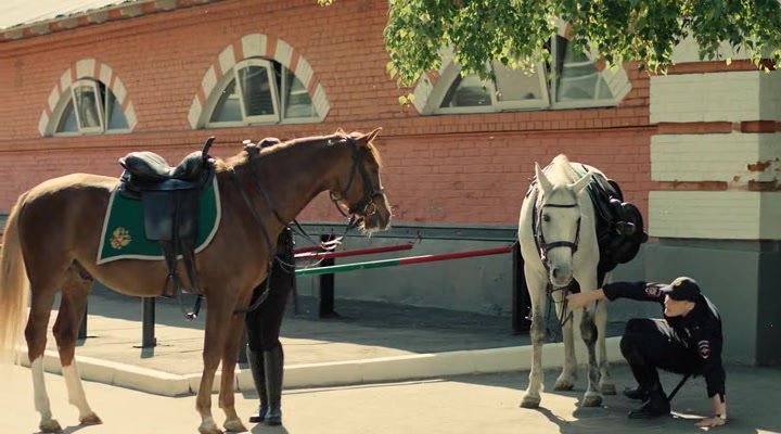 Нажмите для просмотра в оригинальном размере