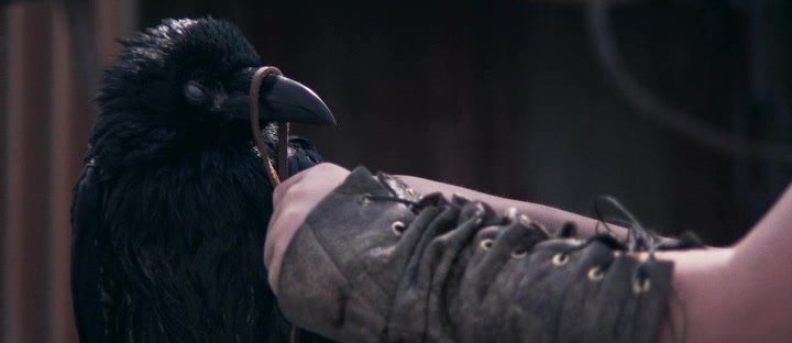 Нажмите для просмотра в оригинальном размере