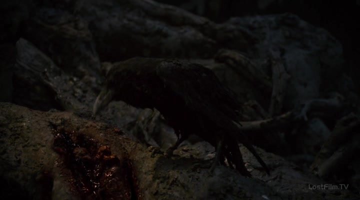 Нажмите для просмотра в оригинальном размере