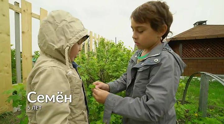 Нажмите для просмотра в оригинальном размере