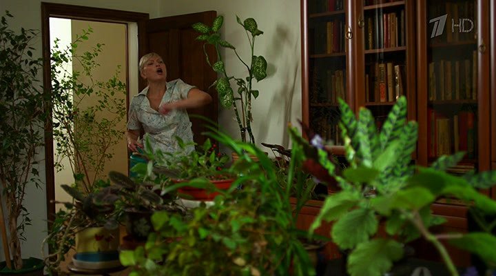 Нажмите для просмотра в оригинальном размере