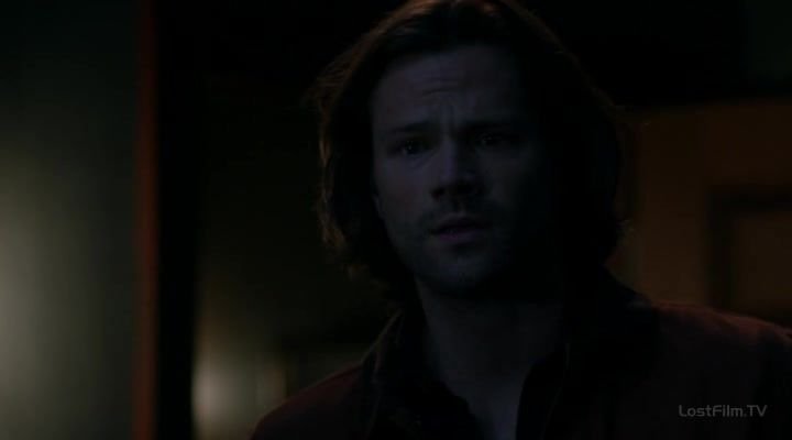 Нажмите для просмотра в оригинальном размере