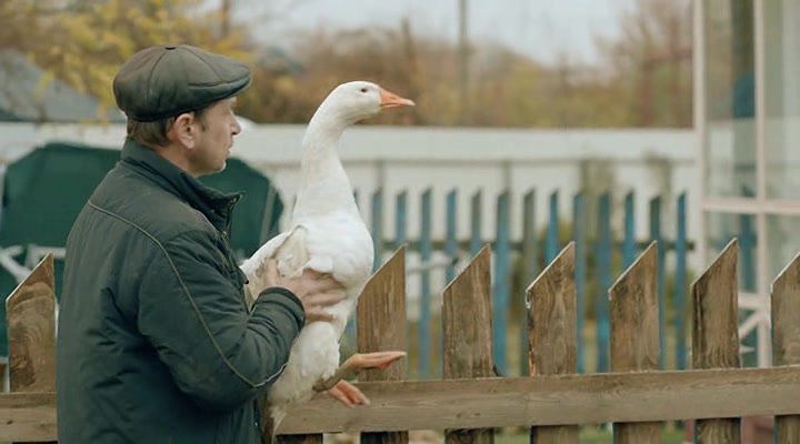 Нажмите для просмотра в оригинальном размере