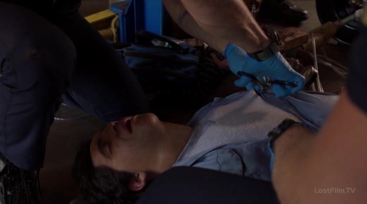 Нажмите для просмотра в оригинальном размере