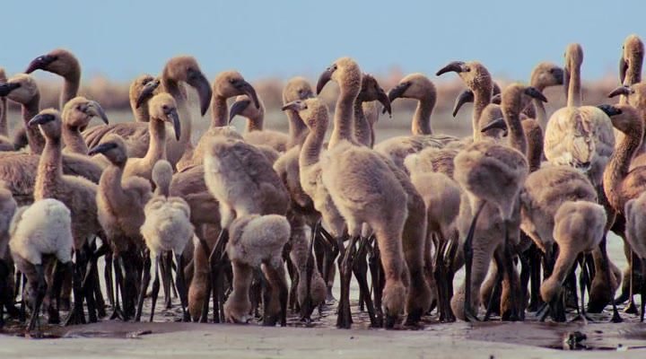 Нажмите для просмотра в оригинальном размере