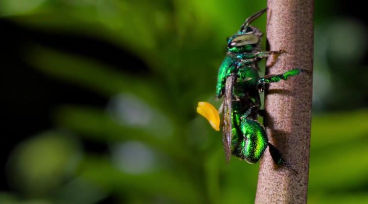 Нажмите для просмотра в оригинальном размере