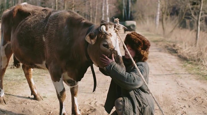 Нажмите для просмотра в оригинальном размере