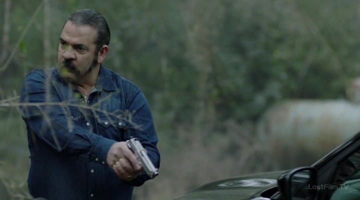 Нажмите для просмотра в оригинальном размере