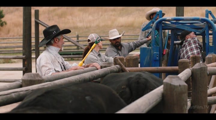 Нажмите для просмотра в оригинальном размере