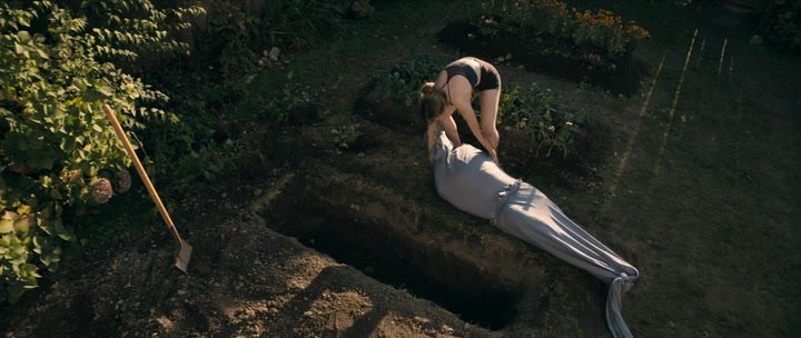 Нажмите для просмотра в оригинальном размере