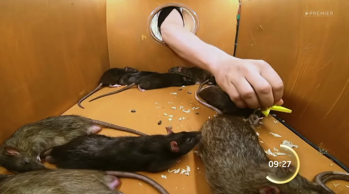 Нажмите для просмотра в оригинальном размере