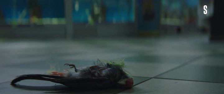 Нажмите для просмотра в оригинальном размере