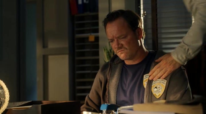 Нажмите для просмотра в оригинальном размере