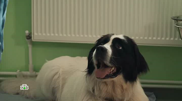 Нажмите для просмотра в оригинальном размере