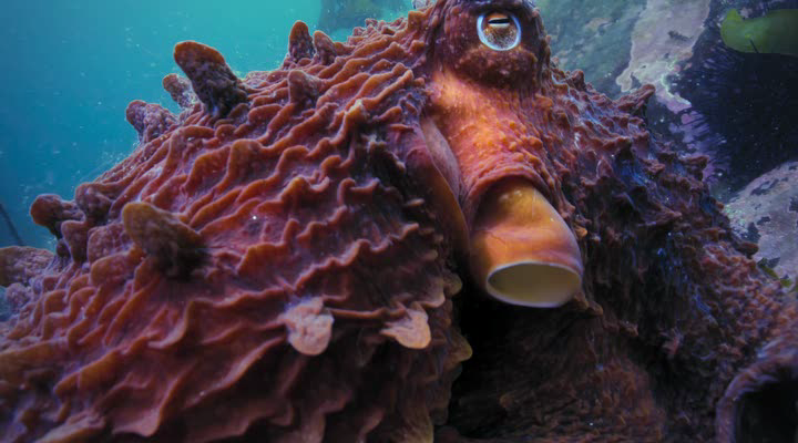 Нажмите для просмотра в оригинальном размере