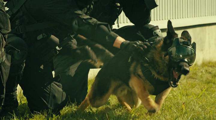 Нажмите для просмотра в оригинальном размере