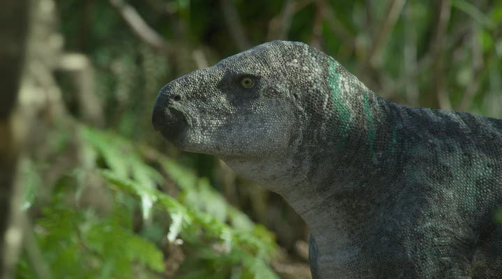 Нажмите для просмотра в оригинальном размере