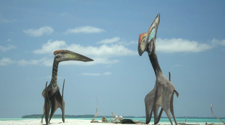 Нажмите для просмотра в оригинальном размере