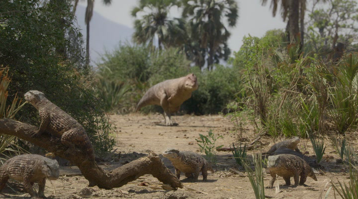 Нажмите для просмотра в оригинальном размере