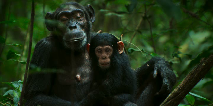 Нажмите для просмотра в оригинальном размере