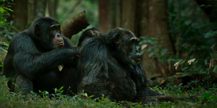 Нажмите для просмотра в оригинальном размере