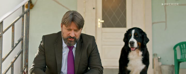 Нажмите для просмотра в оригинальном размере