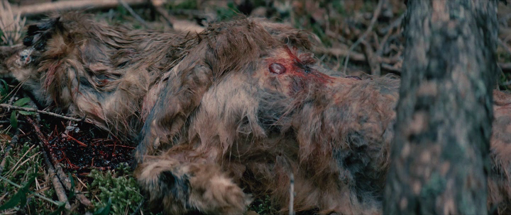 Нажмите для просмотра в оригинальном размере