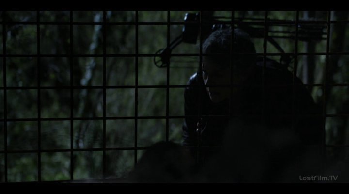 Нажмите для просмотра в оригинальном размере