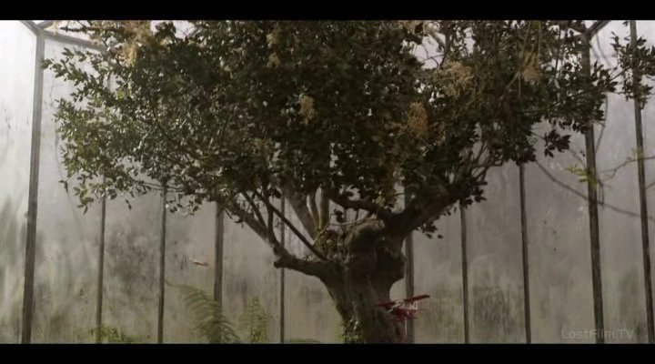 Нажмите для просмотра в оригинальном размере