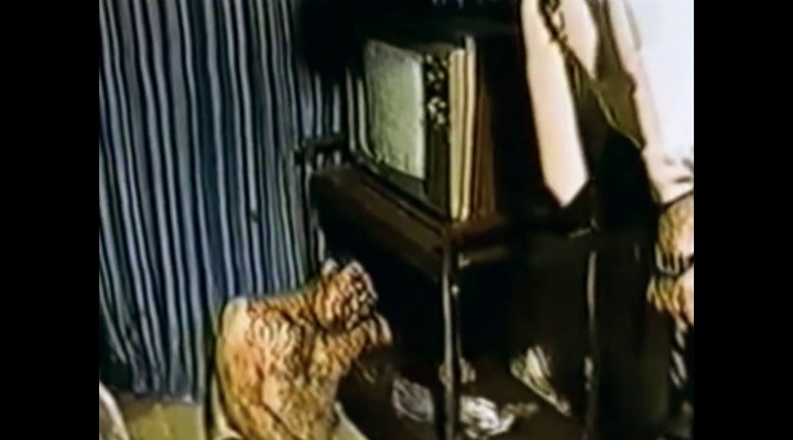 Нажмите для просмотра в оригинальном размере