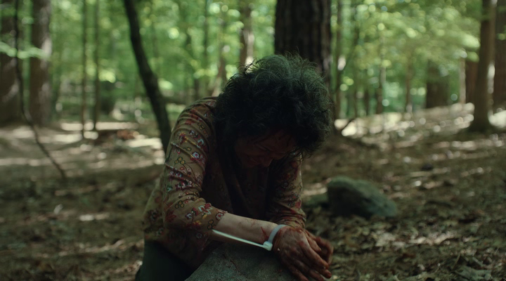 Нажмите для просмотра в оригинальном размере