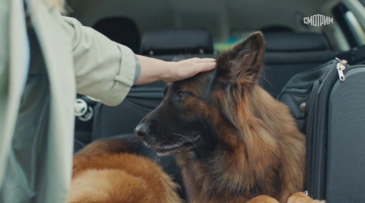 Нажмите для просмотра в оригинальном размере