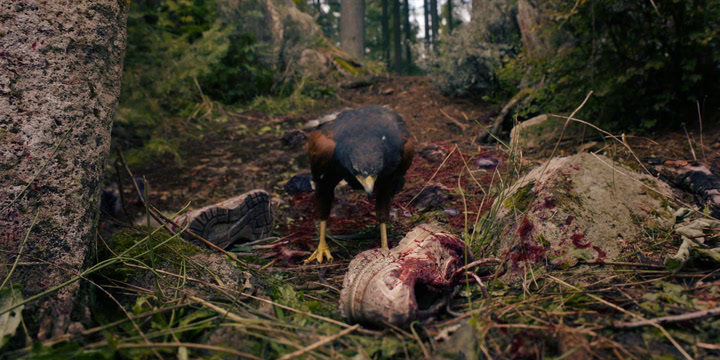 Нажмите для просмотра в оригинальном размере